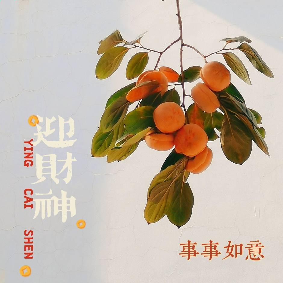 哪壶有水提哪胡女士